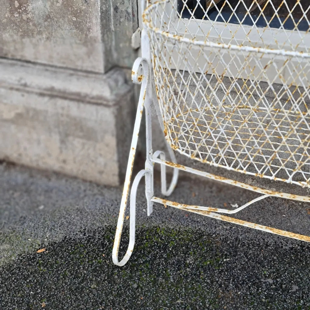 Bassinet Wire France French Basket Garden Plants