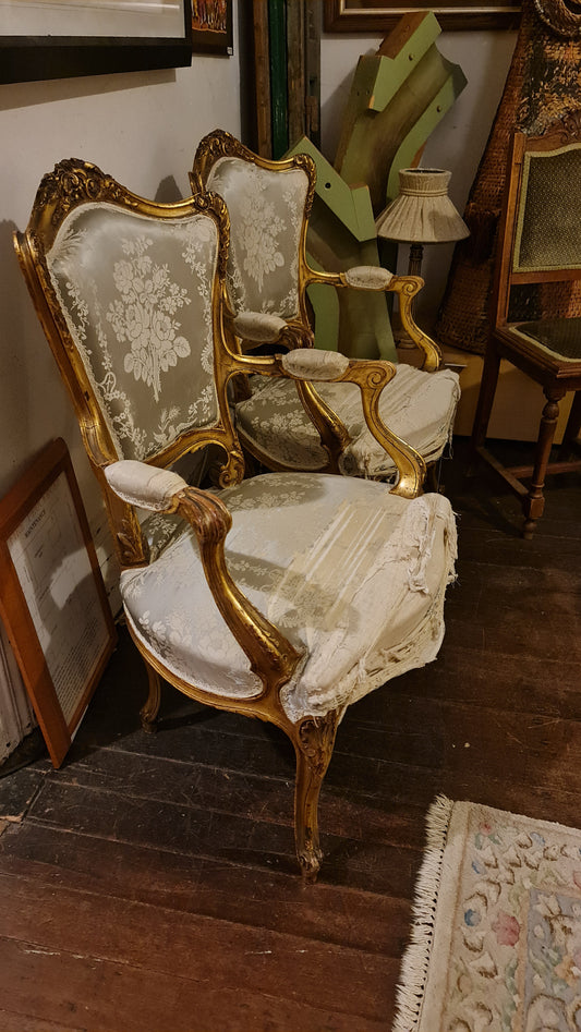 Pair of Shabby Chic Genuine Antique French Gilt Armchairs