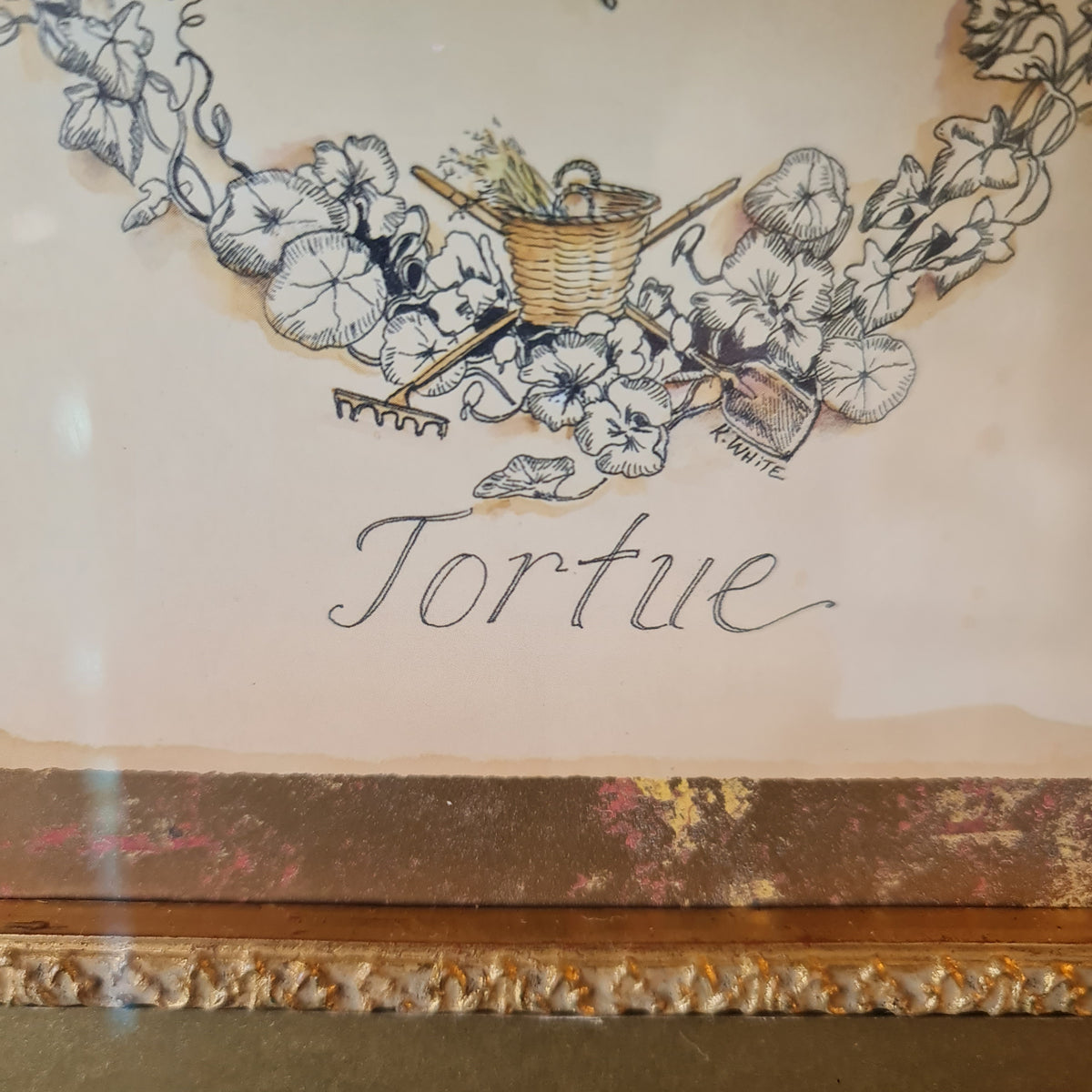 Print of Turtle in Gilt Frame Antique Style