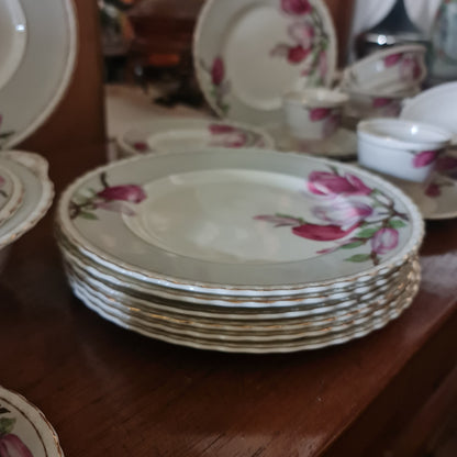 China Setting Part Magnolia by Myott