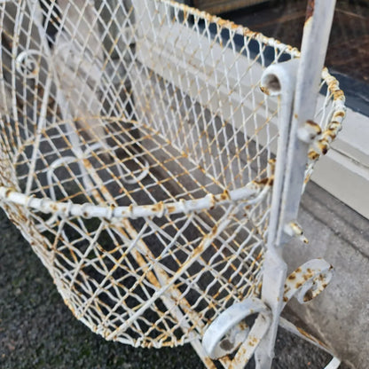 Bassinet Wire France French Basket Garden Plants