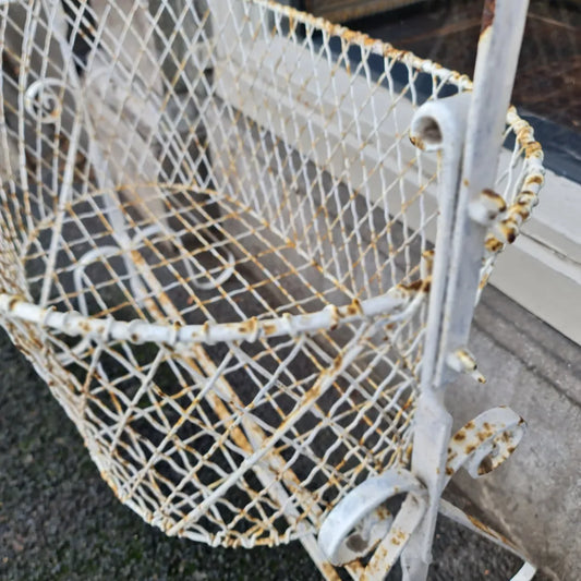 Bassinet Wire France French Basket Garden Plants