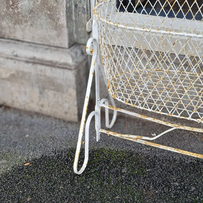 Bassinet Wire France French Basket Garden Plants