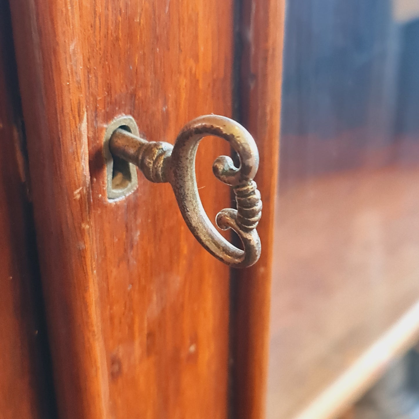 Antique Australian Cedar Bookcase with Two Glass Doors