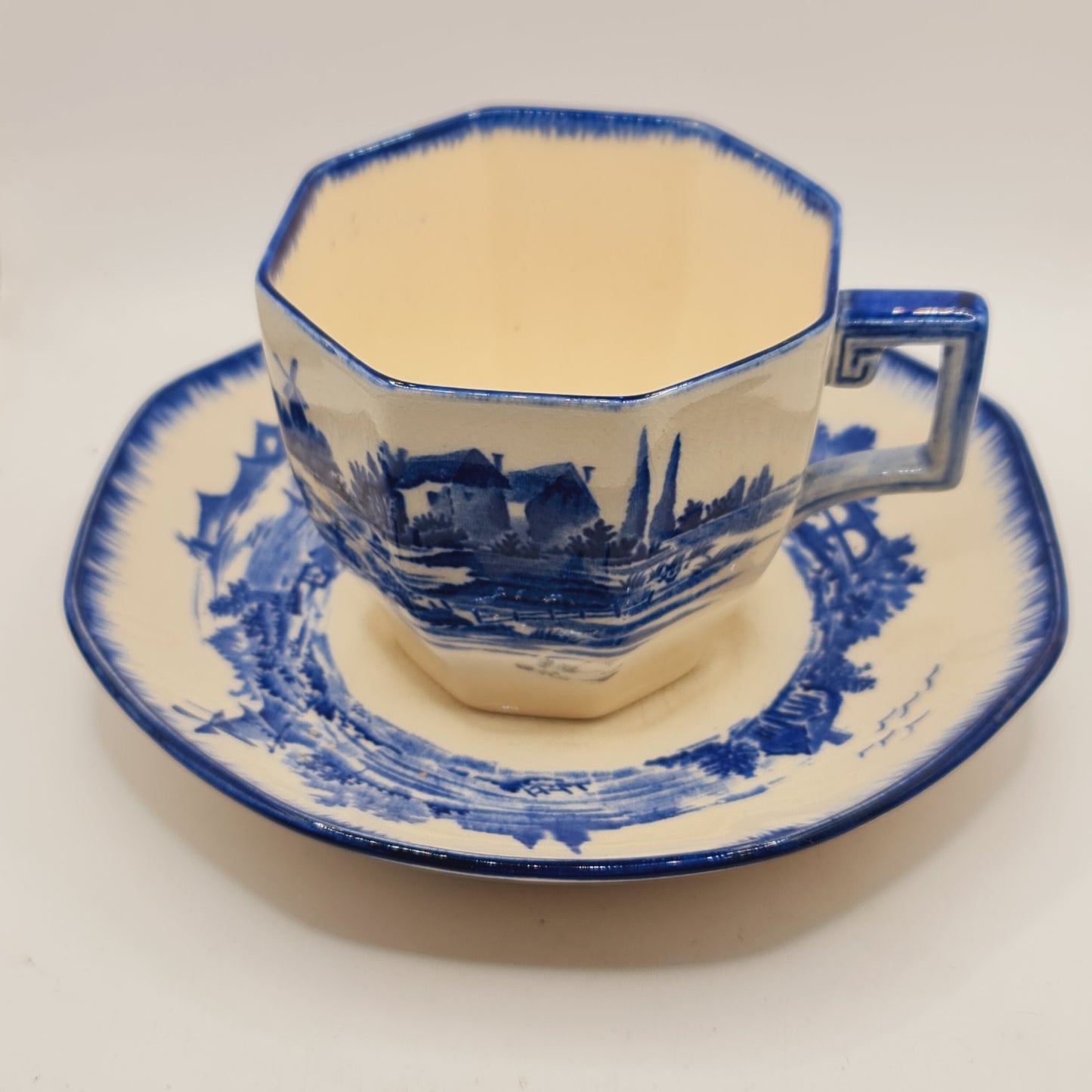 Norfolk Pattern Royal Doulton Vintage Cup and Saucer China