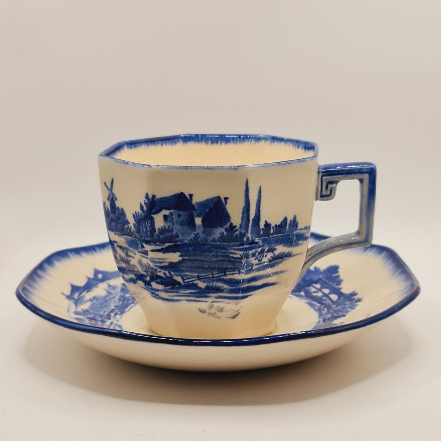 Norfolk Pattern Royal Doulton Vintage Cup and Saucer China