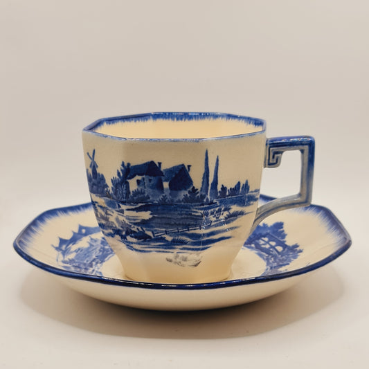 Norfolk Pattern Royal Doulton Vintage Cup and Saucer China