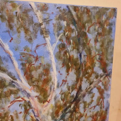 Australian Landscape Original Oil Painting