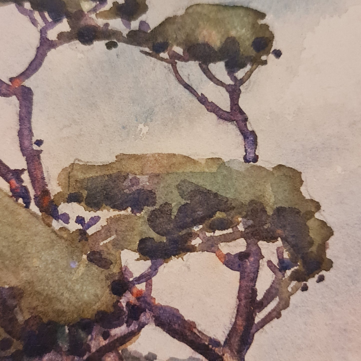 Seascape in Watercolour by C. H. Woods Australian Painting of Coastal Scene