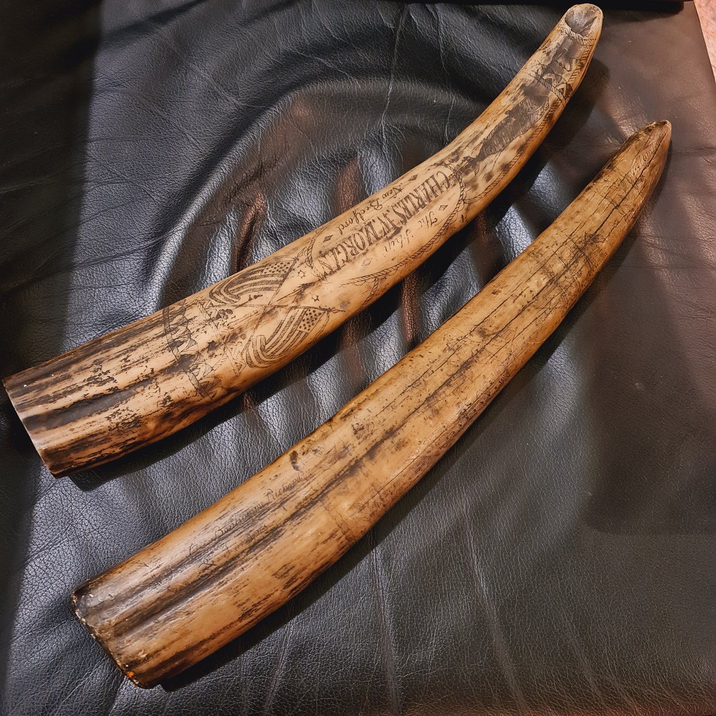 Two large Pieces of Scrimshaw made from Resin