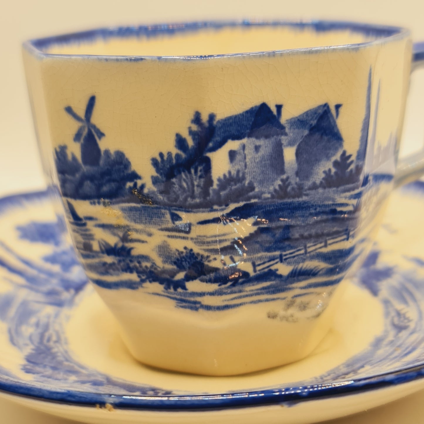 Norfolk Pattern Royal Doulton Vintage Cup and Saucer China